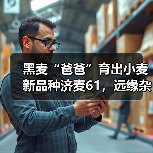 黑麦“爸爸”育出小麦新品种济麦61,远缘杂交打破小麦“近亲繁殖”!(图1) 黑麦“爸爸”育出小麦新品种济麦61,远缘杂交打破小麦“近亲繁殖”!(图1)