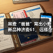 黑麦“爸爸”育出小麦新品种济麦61,远缘杂交打破小麦“近亲繁殖”!(图2) 黑麦“爸爸”育出小麦新品种济麦61,远缘杂交打破小麦“近亲繁殖”!(图2)