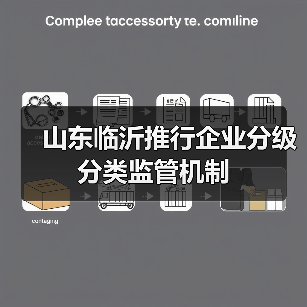 山东临沂推行企业分级分类监管机制(图4) 山东临沂推行企业分级分类监管机制(图4)