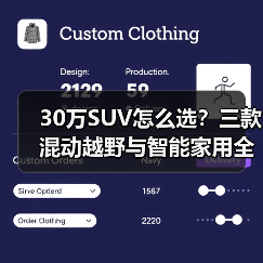 30万SUV怎么选?三款混动越野与智能家用全能推荐(图2) 30万SUV怎么选?三款混动越野与智能家用全能推荐(图2)