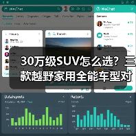 30万级SUV怎么选?三款越野家用全能车型对比(图3) 30万级SUV怎么选?三款越野家用全能车型对比(图3)