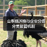 山东临沂推行企业分级分类监管机制(图1) 山东临沂推行企业分级分类监管机制(图1)