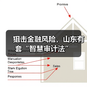 狙击金融风险，山东有套“智慧审计法”(图4)