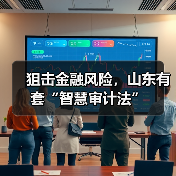 狙击金融风险，山东有套“智慧审计法”(图3)