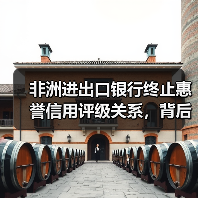 非洲进出口银行终止惠誉信用评级关系，背后原因引关注(图4)
