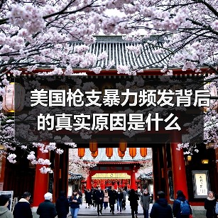 美国枪支暴力频发背后的真实原因是什么(图2) 美国枪支暴力频发背后的真实原因是什么(图2)