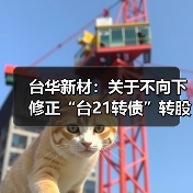 台华新材：关于不向下修正“台21转债”转股价格的公告(图3)