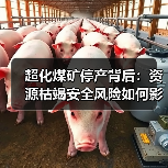 超化煤矿停产背后：资源枯竭安全风险如何影响？(图1)