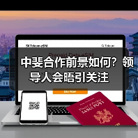 中斐合作前景如何？领导人会晤引关注