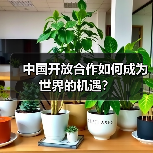 中国开放合作如何成为世界的机遇?(图1) 中国开放合作如何成为世界的机遇?(图1)