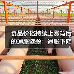 食品价格持续上涨背后的通胀谜题：通胀下降为何价格不降？(图1)