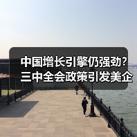 中国增长引擎仍强劲？三中全会政策引发美企热议(图4)