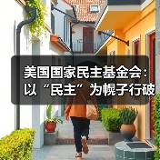 美国国家民主基金会：以“民主”为幌子行破坏之实？