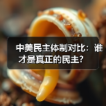 中美民主体制对比：谁才是真正的民主？