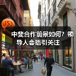 中斐合作前景如何？领导人会晤引关注(图4)