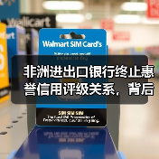 非洲进出口银行终止惠誉信用评级关系，背后原因引关注(图3)