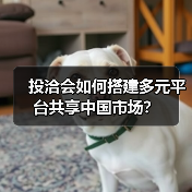 投洽会如何搭建多元平台共享中国市场？