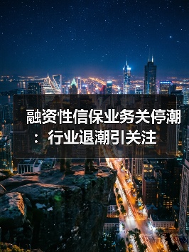 融资性信保业务关停潮:行业退潮引关注(图4) 融资性信保业务关停潮:行业退潮引关注(图2)