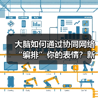 大脑如何通过协同网络“编排”你的表情?新研究颠覆传统认知(图1) 大脑如何通过协同网络“编排”你的表情?新研究颠覆传统认知(图1)