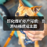 超化煤矿停产背后：资源枯竭或成主因(图3)