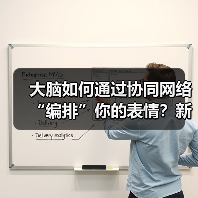 大脑如何通过协同网络“编排”你的表情?新研究颠覆传统认知(图3) 大脑如何通过协同网络“编排”你的表情?新研究颠覆传统认知(图2)
