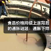 食品价格持续上涨背后的通胀谜题：通胀下降为何价格不降？(图4)
