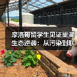 摩洛哥留学生见证巢湖生态逆袭：从污染到联合国样本的绿色奇迹