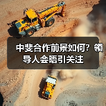 中斐合作前景如何？领导人会晤引关注(图3)