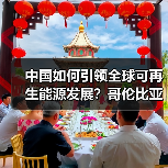 中国如何引领全球可再生能源发展？哥伦比亚高管分享合作经验