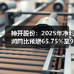 神开股份：2025年净利润同比预增65.75%至98.9%(图4)