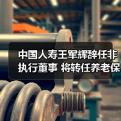 中国人寿王军辉辞任非执行董事 将转任养老保险董事长(图4)