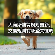 大商所结算规则更新，交易规则有哪些关键调整？