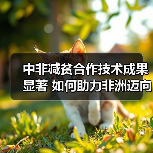中非减贫合作技术成果显著 如何助力非洲迈向繁荣?(图4) 中非减贫合作技术成果显著 如何助力非洲迈向繁荣?(图4)