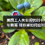 美国工人失业担忧创十年新高 降薪潮如何应对？ - 玄熵新龙谷信息港