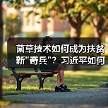 菌草技术如何成为扶贫新 菌草技术如何成为扶贫新奇兵?习近平如何推动其全球应用?(图2)