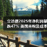 立达信2025年净利润暴跌47% 美国关税及成本上涨成主因(图3)