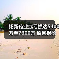 拓新药业或亏损达5400万至7300万 原因揭秘(图3) 拓新药业或亏损达5400万至7300万 原因揭秘(图3)