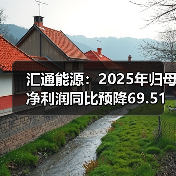 汇通能源：2025年归母净利润同比预降69.51%到75.82%(图4)