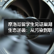 摩洛哥留学生见证巢湖生态逆袭：从污染到联合国样本的绿色奇迹(图2)