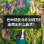 巴中经贸合作如何为拉美国家树立典范?(图4) 巴中经贸合作如何为拉美国家树立典范?(图3)
