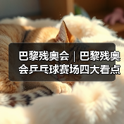 巴黎残奥会｜巴黎残奥会乒乓球赛场四大看点