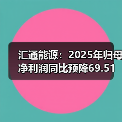 汇通能源：2025年归母净利润同比预降69.51%到75.82%(图2)