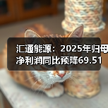 汇通能源：2025年归母净利润同比预降69.51%到75.82%(图3)