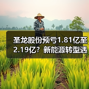 圣龙股份预亏1.81亿至2.19亿?新能源转型遇阻?(图4) 圣龙股份预亏1.81亿至2.19亿?新能源转型遇阻?(图4)