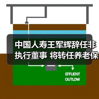 中国人寿王军辉辞任非执行董事 将转任养老保险董事长(图2)