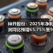 神开股份：2025年净利润同比预增65.75%至98.9%