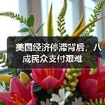 美国经济停滞背后，八成民众支付艰难(图2)