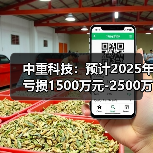 中重科技:预计2025年亏损1500万元-2500万元(图3) 中重科技:预计2025年亏损1500万元-2500万元(图2)