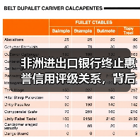 非洲进出口银行终止惠誉信用评级关系，背后原因引关注