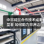 中非减贫合作技术成果显著 如何助力非洲迈向繁荣?(图3) 中非减贫合作技术成果显著 如何助力非洲迈向繁荣?(图3)